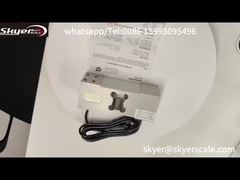 औद्योगिक भार मंच बेंच तराजू के लिए ZEMIC L6G 500kg लोड सेंसर सेल