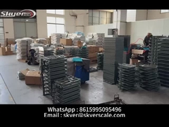 3T-5T नामित भार हल्के स्टील मंजिल पैमाने 0.9x1.5m औद्योगिक अनुप्रयोगों के लिए