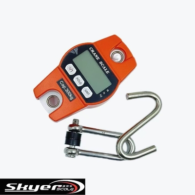 गुणवत्ता  300kg Digital Crane Scale with LED LCD Display कारखाना