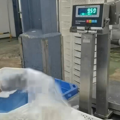 30x40cm 304 स्टेनलेस स्टील वाटरप्रूफ बेंच स्केल 100kg