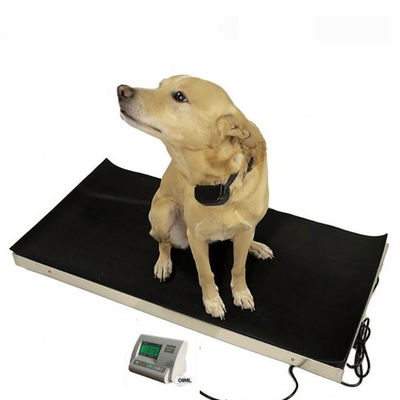 एलईडी 60kg परिशुद्धता पशु डिजिटल वजन स्केल